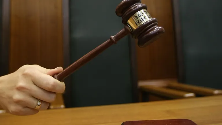 Суд в Нижнем Новгороде взыскал с киберспортивного блогера Райза 63 тысячи рублей