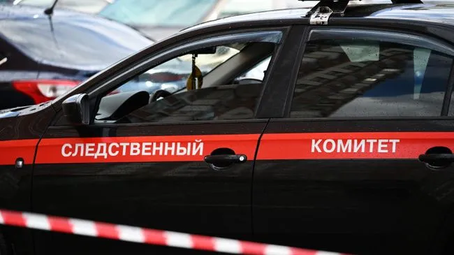 В Хабаровском крае арестовали водителя, сбившего насмерть девочку