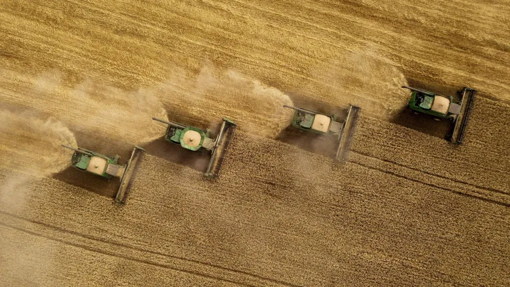 Товарооборот России с Африкой вырос на 10,5% с 2023 года