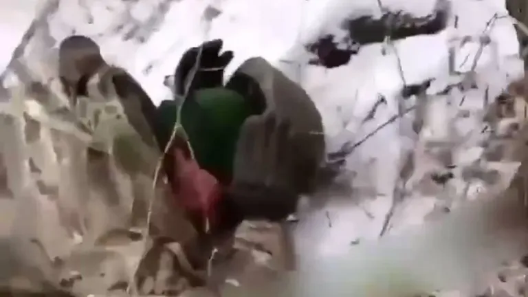 Военкор заявил о казни российских пленных украинскими военными