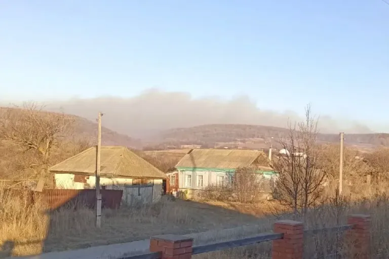 Лесной пожар под Саратовом угрожает домам села Лох