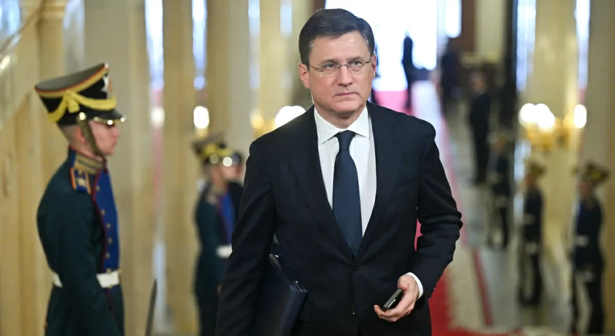 Новак заявил о ведущей роли России в энергосистемах Африки