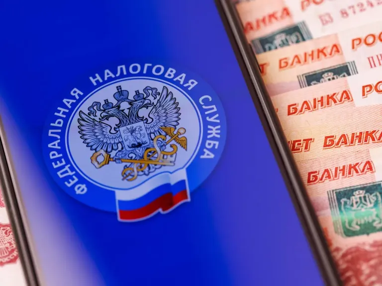 ФНС тестирует поиск самозанятых, скрывающих доходы